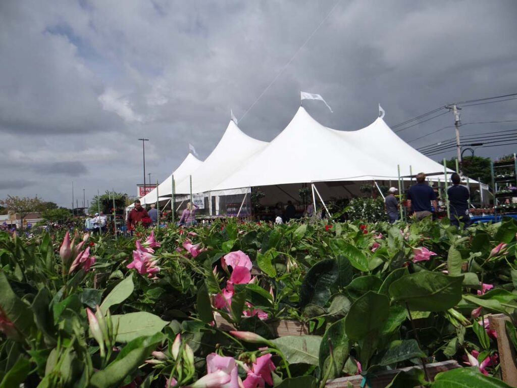 A big white tent in a parking lot surrounded by flowers of all colors.